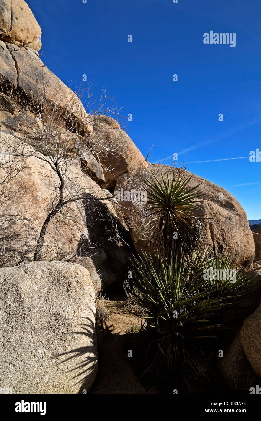 Round boulder rock formation white tank area joshua tree national park california monzogranite Stock Photo
