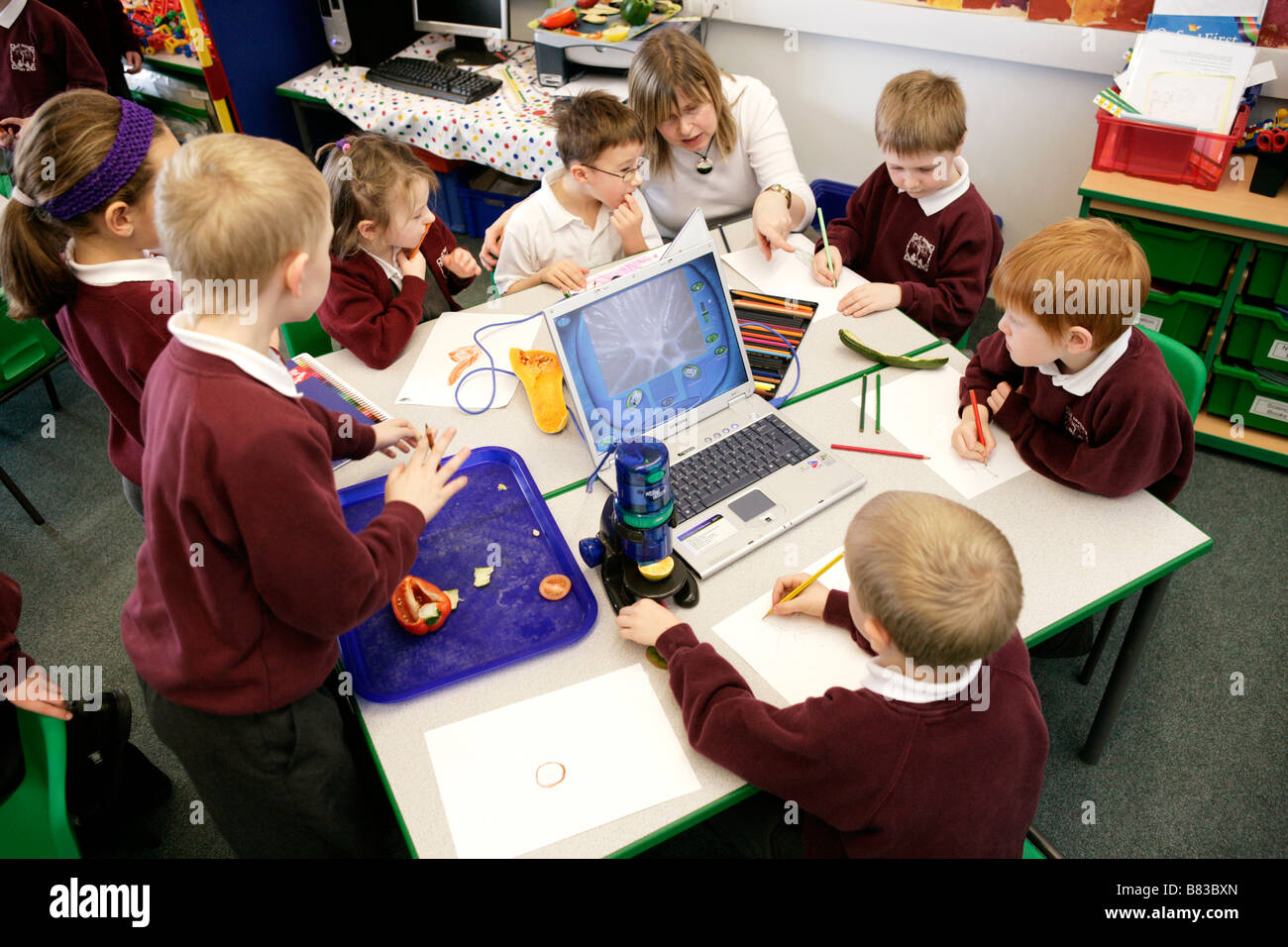 primary school pupils using laptop computers in classroom Stock Photo