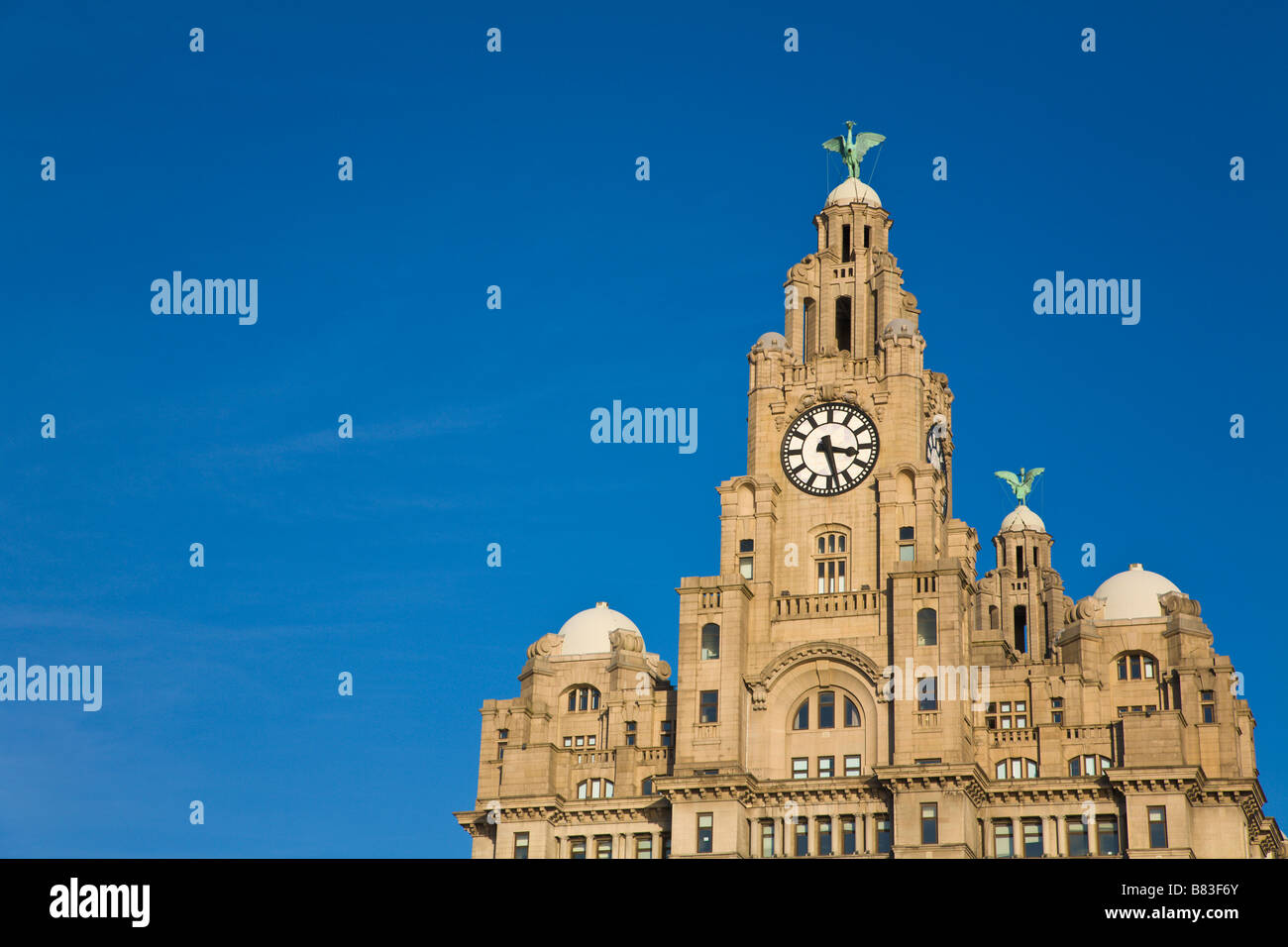 'Liver Building', Liverpool, Merseyside, England Stock Photo