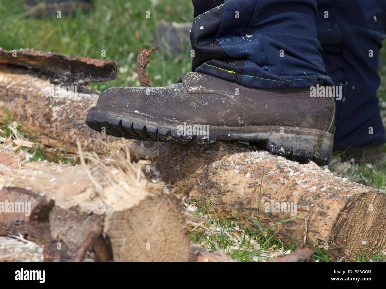 woodcutter boot over tree logs Stock Photo