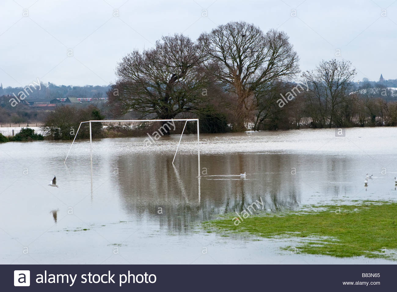 Football Pitch Flooded High Resolution Stock Photography and Images - Alamy
