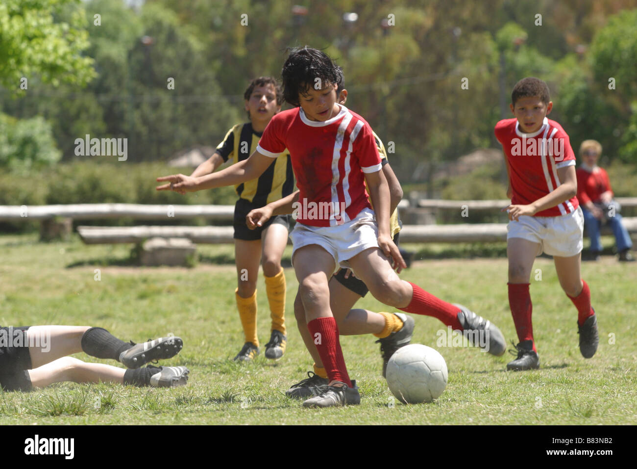 Maradona, la main de Dieu Maradona, la mano di Dio Year 2007