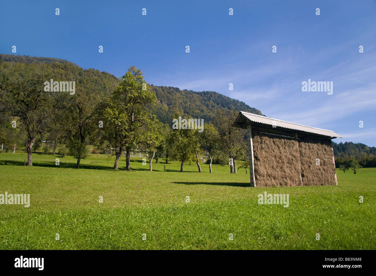 Hay drying rack on the outskirts of Bohinj, Triglav National Park in