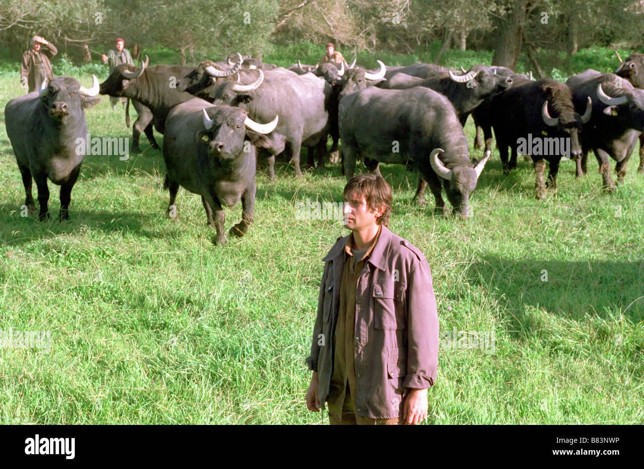 un brivido sulla pelle 2005