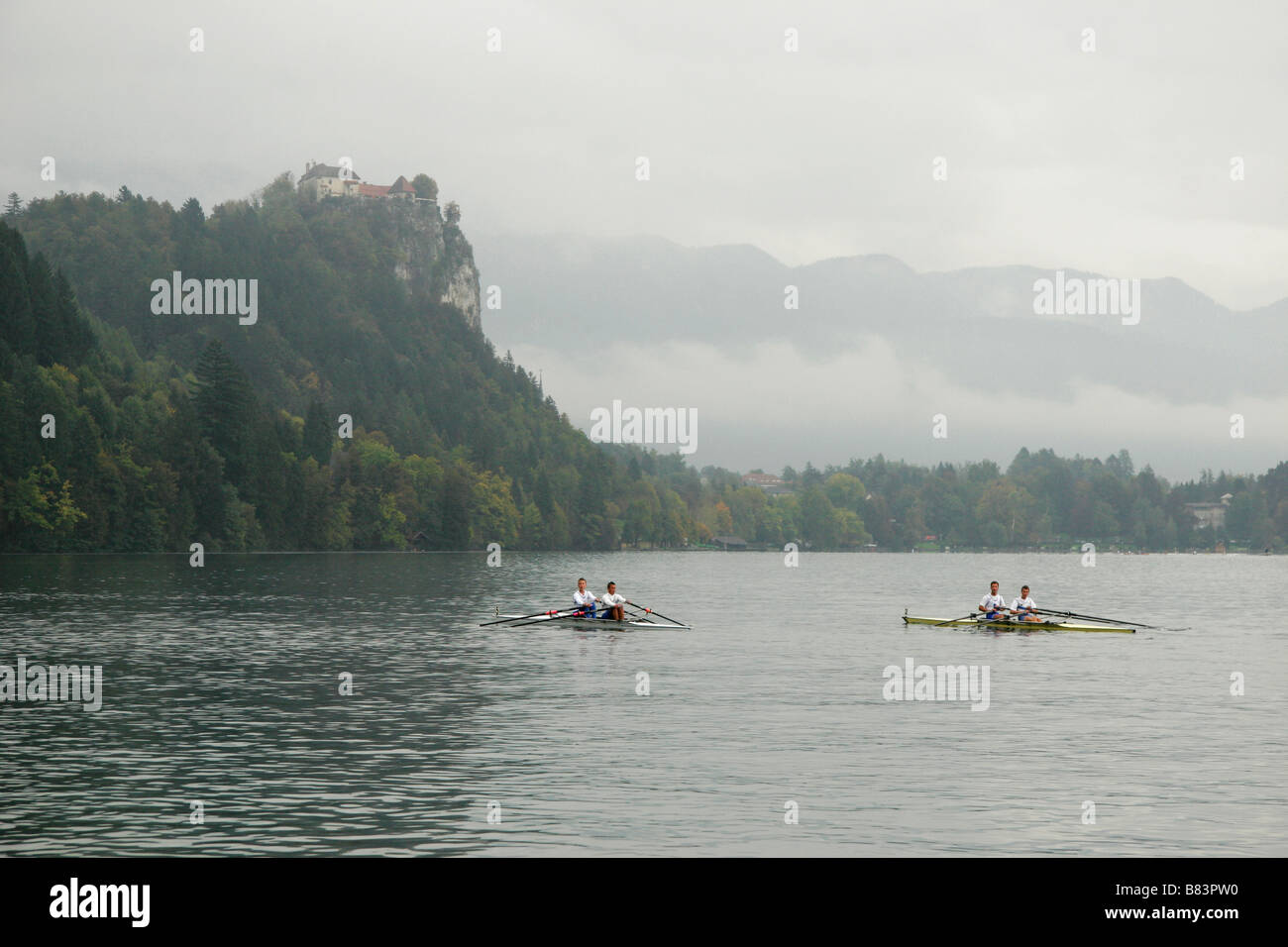 Coxless pairs at a regatta on Lake Bled with Bled Castle perched on the ...