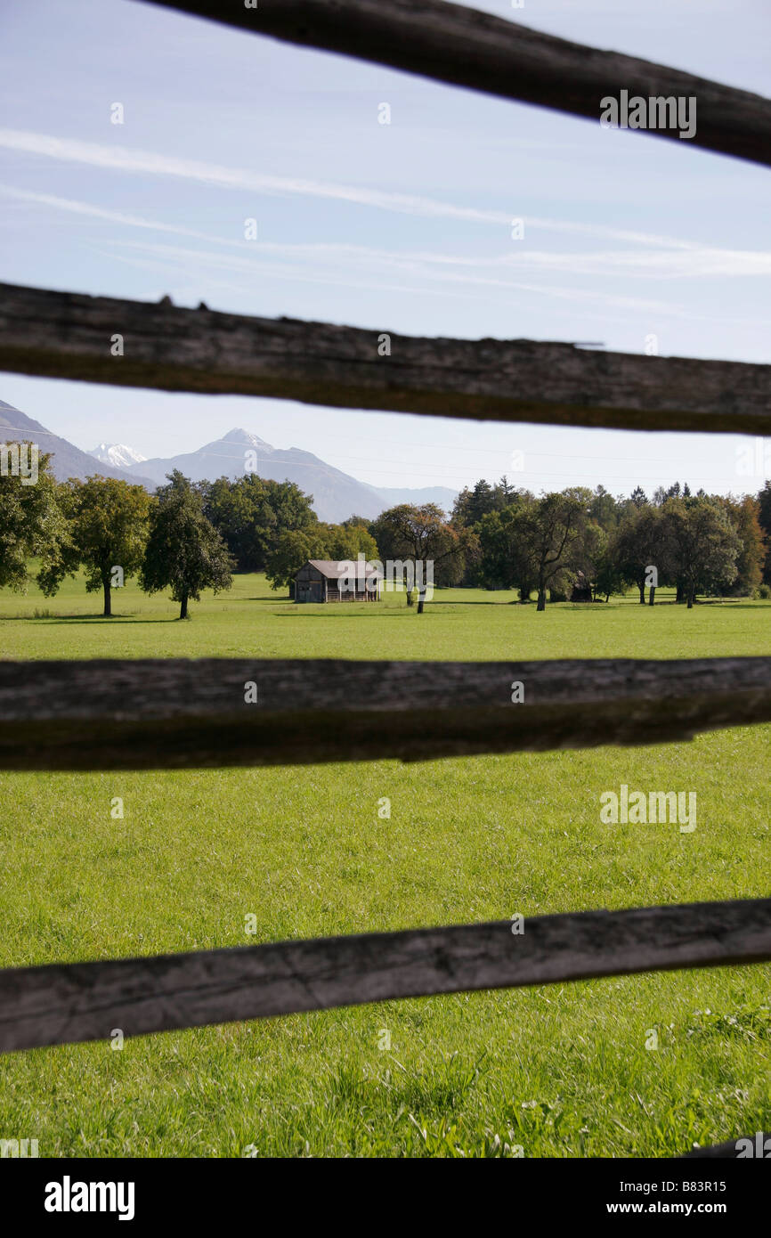 Hay drying rack on the outskirts of Bled in Gorenjska, Slovenia Stock