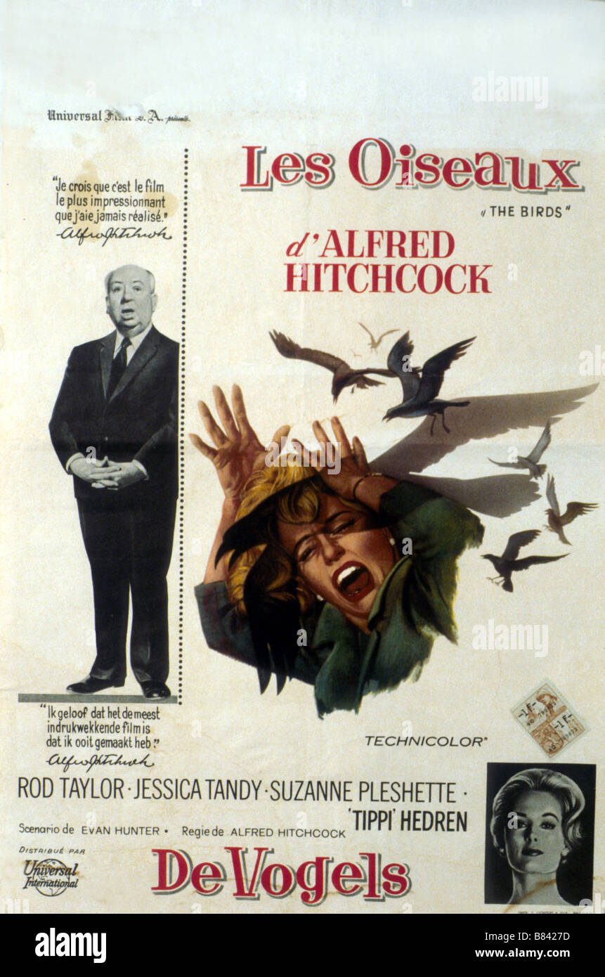 Thriller The Birds Movie Poster Director High Resolution Stock Photography And Images Alamy