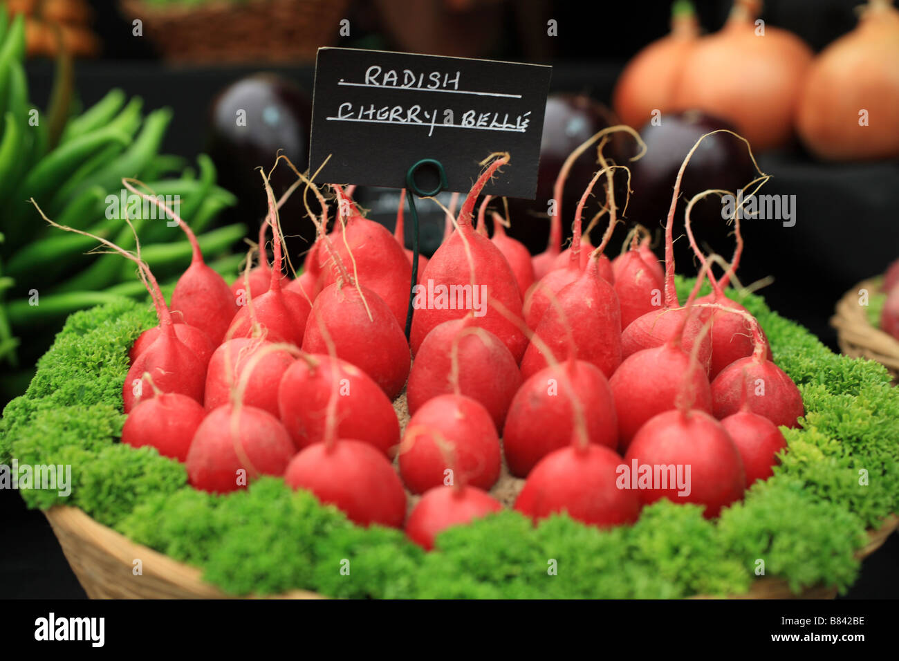 Vegetable display, 'Radishes' red veg at an RHS flower show. Radishes in a pot surrounded by parsley. Stock Photo