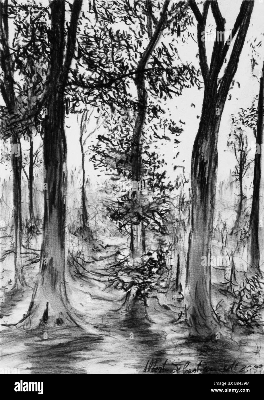 Original pencil drawing charcoal hand hires stock photography and