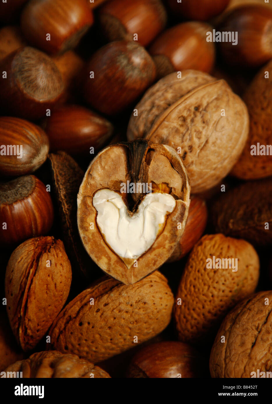 nutty love heart shaped nut kernel of a walnut surrounded by nuts Stock Photo