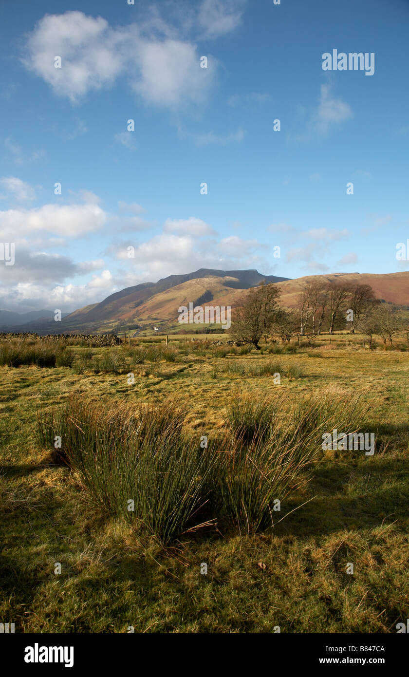 Blencathra or Saddleback seen from the east on a sunny winter day with marsh land grass in the