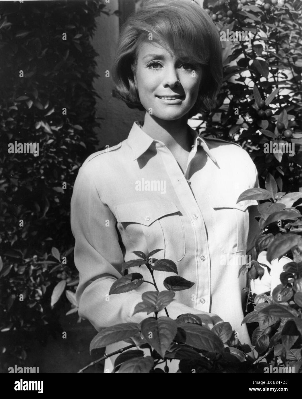 Inger Stevens pics picture Inger Stevens