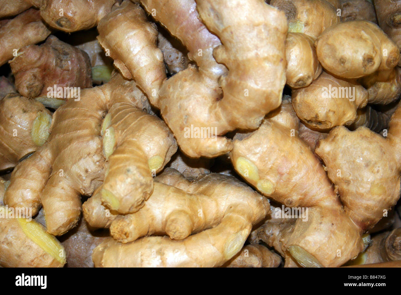 ginger root vegetable Stock Photo