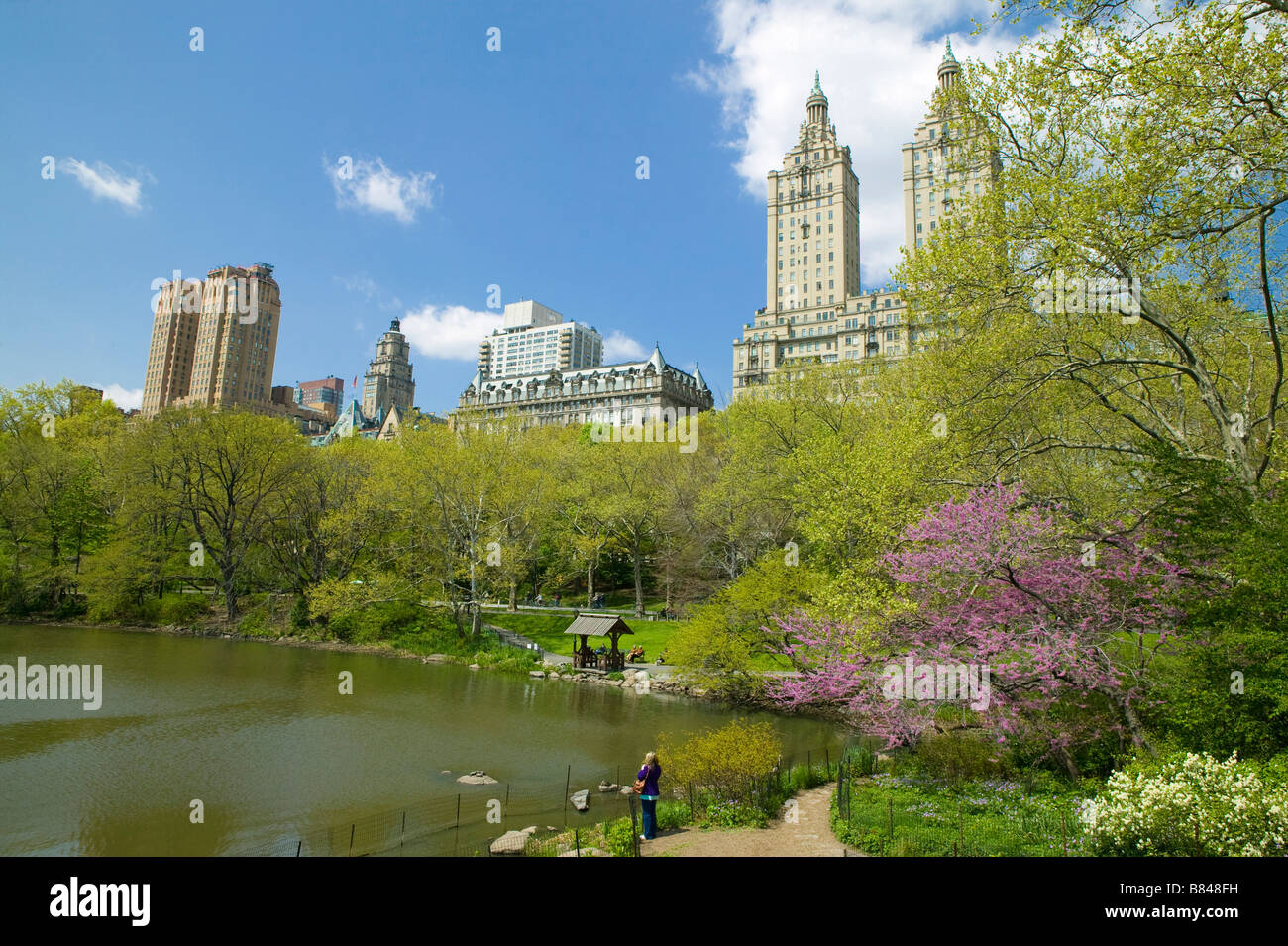 Spring by The Lake, Central Park Stock Photo