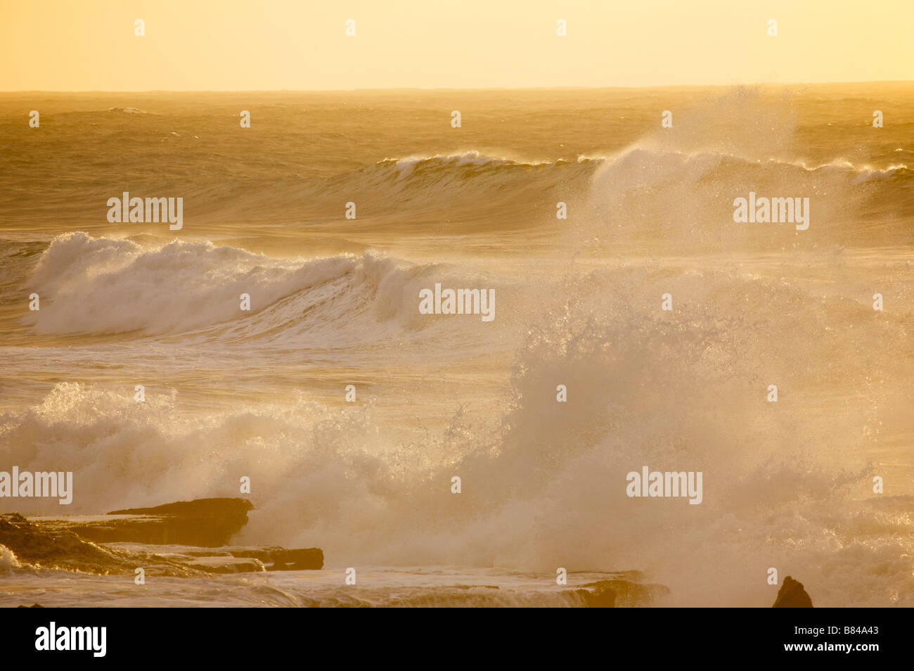 Big waves on the coast near Oualidia Morocco Stock Photo