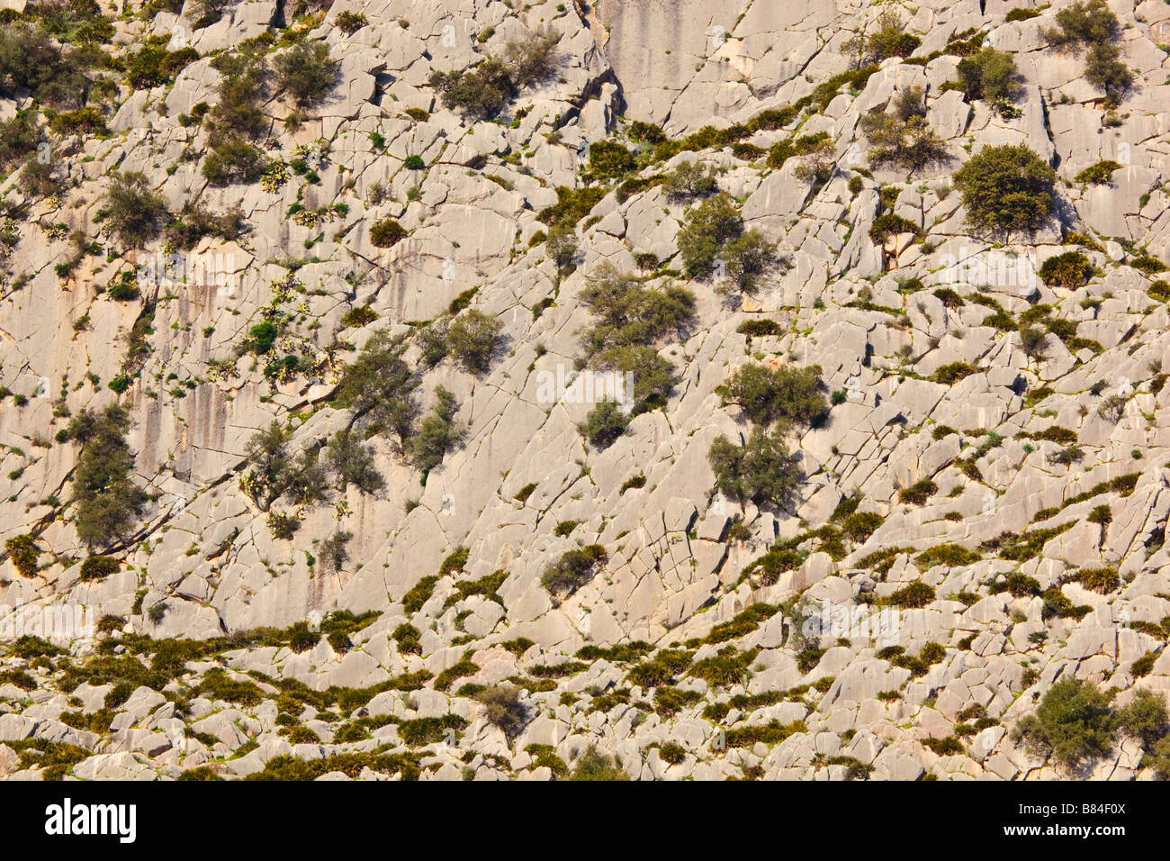 Rock faces near El Chorro Malaga Province Spain Stock Photo