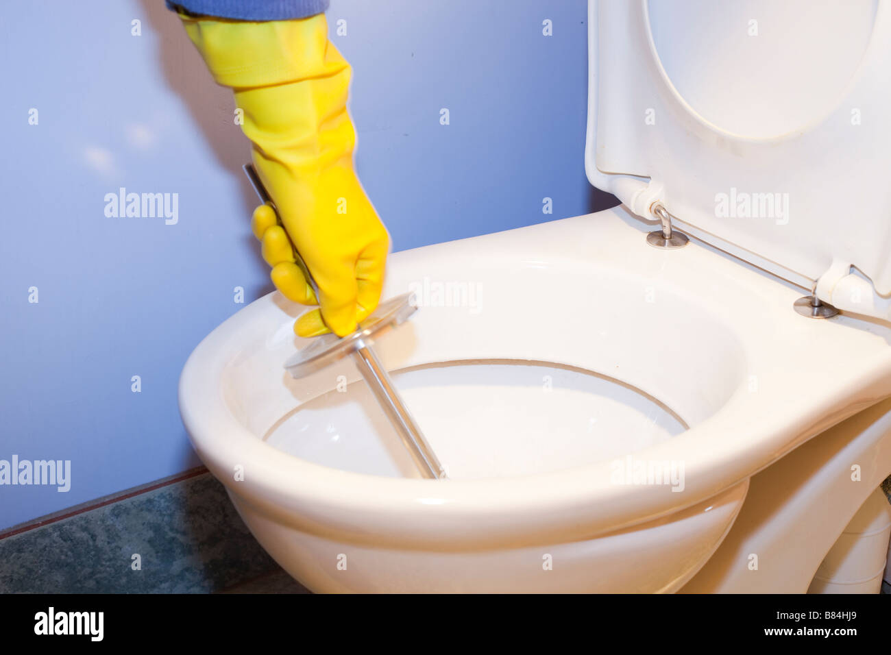 Cleaning a household domestic toilet with a toilet cleaning brush Stock Photo