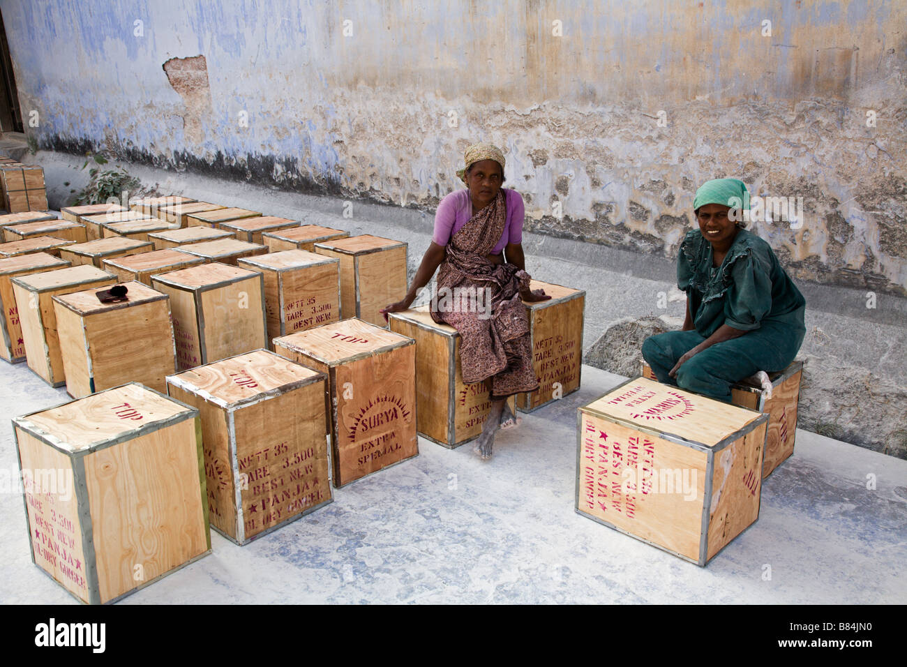 Women sitting on crates of dried ginger in a spice warehouse in