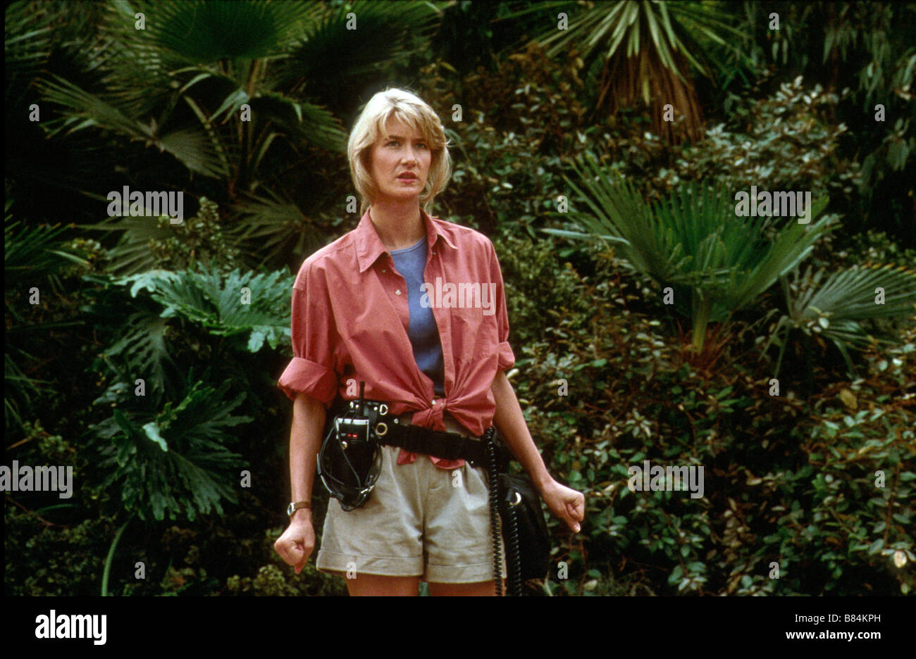 Jurassic Park Year : 1993 USA Director : Steven Spielberg Laura Dern Stock Photo
