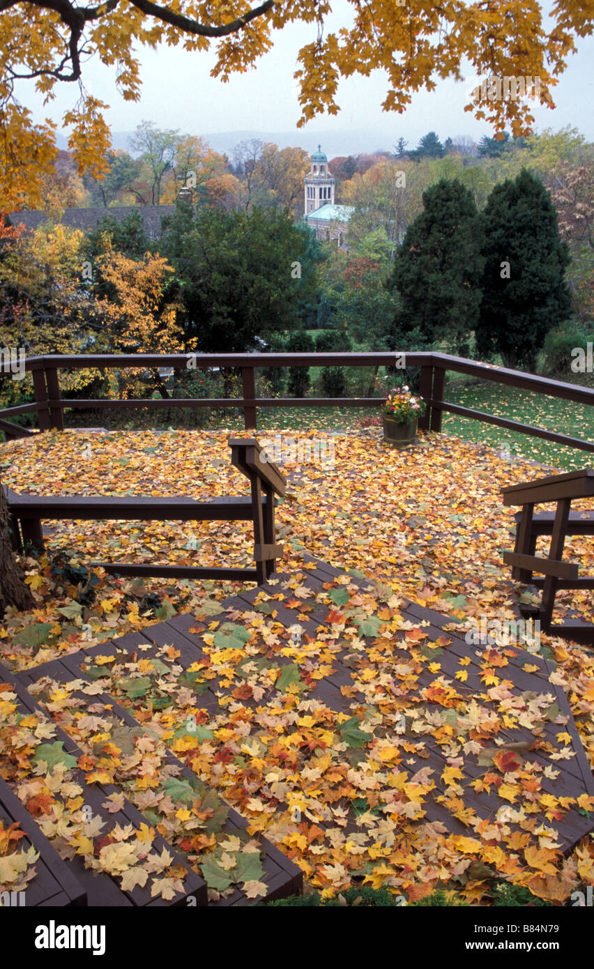 Autumn leaves on a back porch Stock Photo