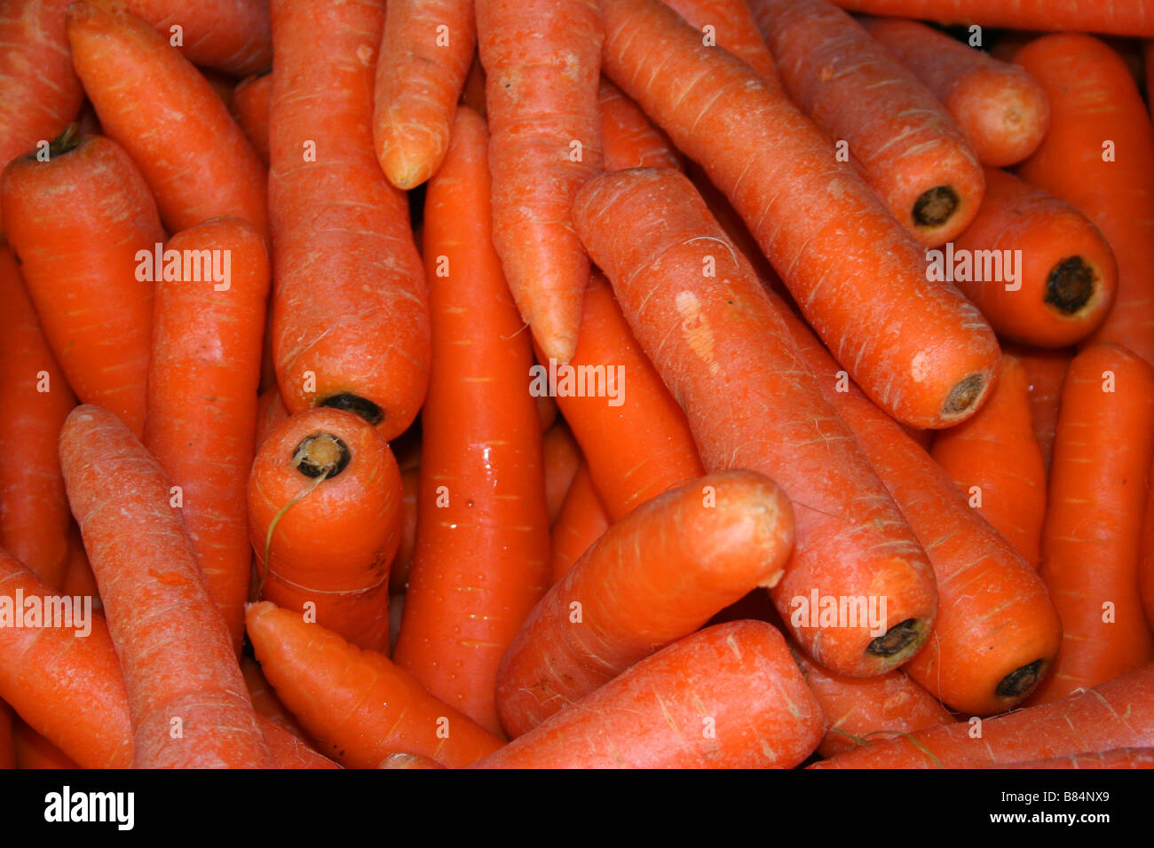carrots root vegetables Stock Photo