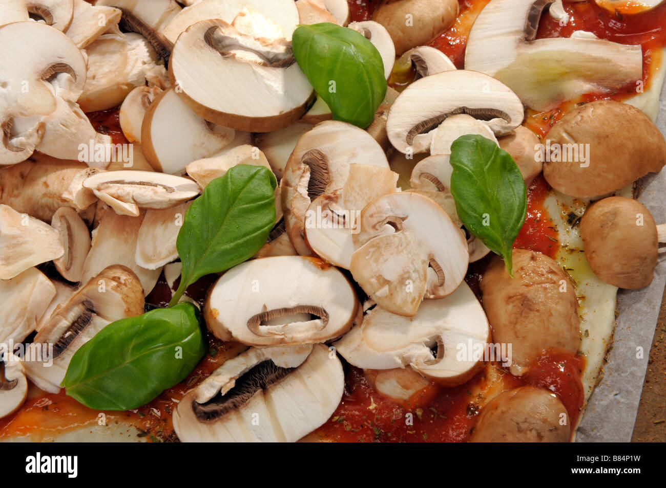 Pizza fungi mushrooms tomato basil basilikum champignon cook base dough sauce cheese mozzarella herbs fresh kitchen cooking food Stock Photo