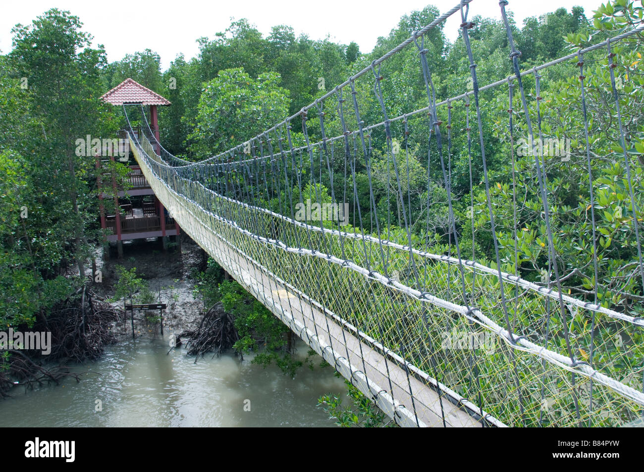 Pulau Kukup National Park, Malaysia Mangrove tide suspension bridge Stock Photo