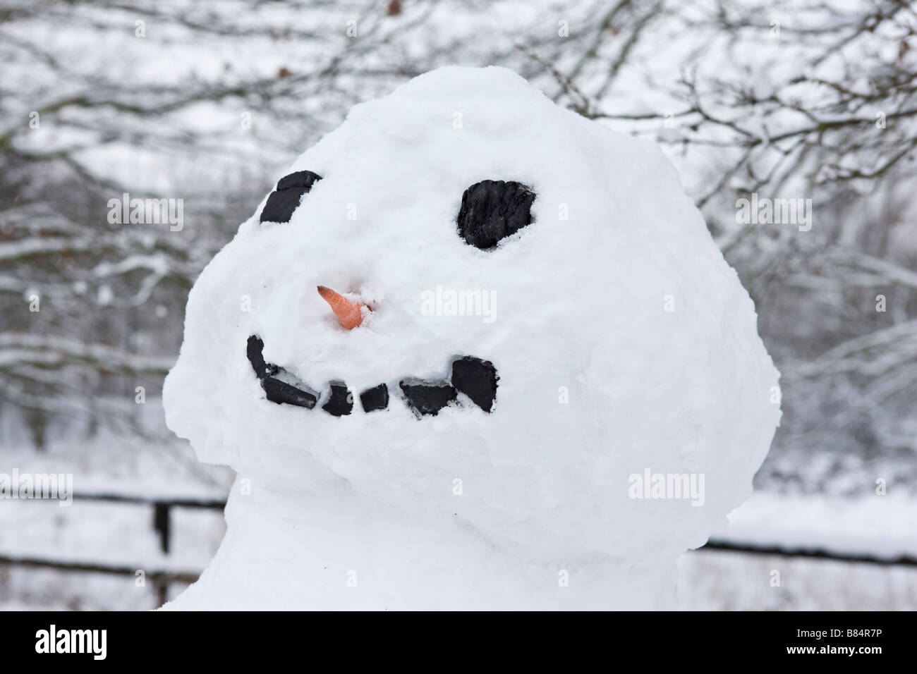 Coal eyes hires stock photography and images Alamy