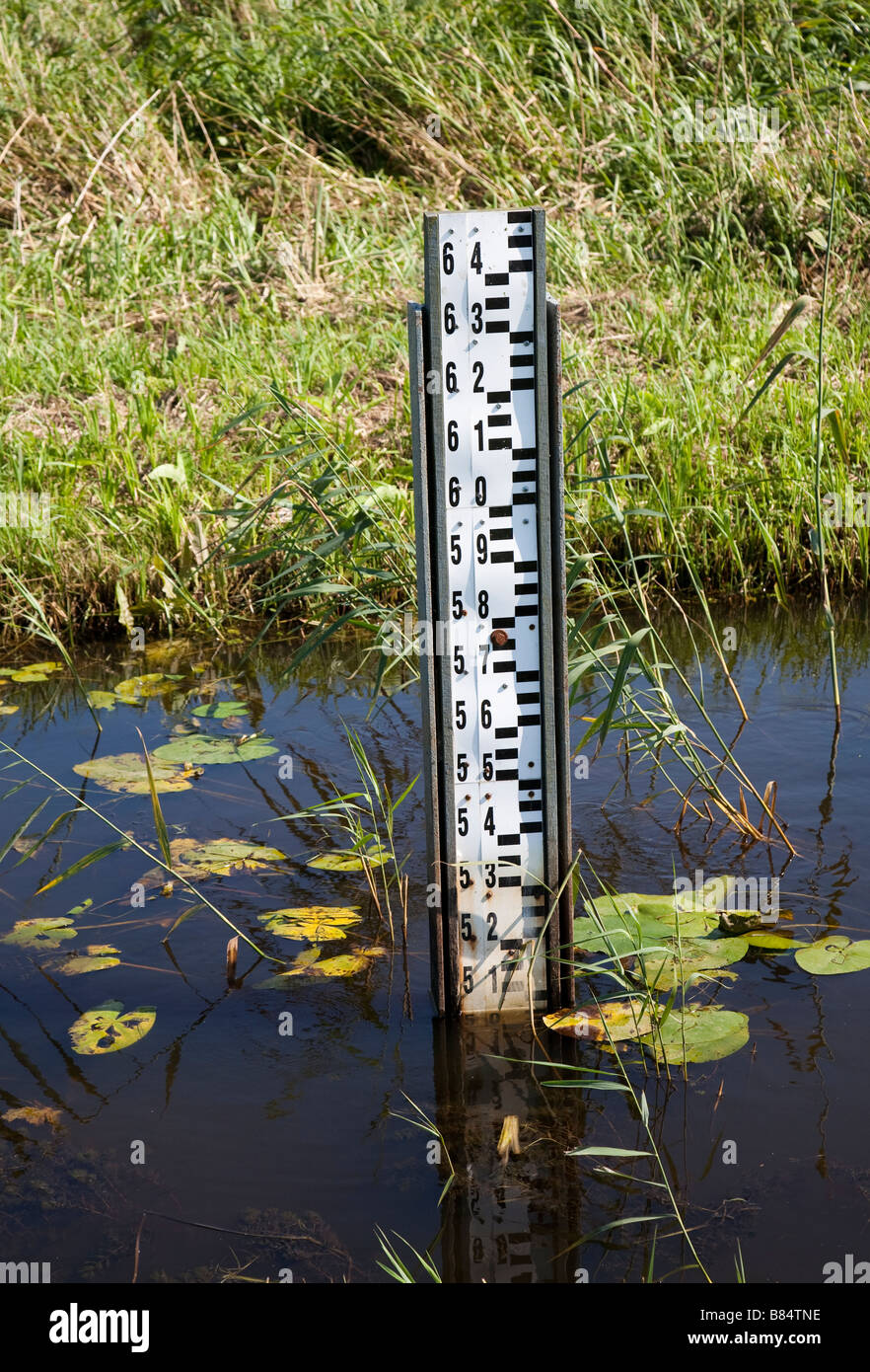 Depth guage marker in drainage canal in wetlands area near Jezioro Lebsko lake Poland Stock Photo