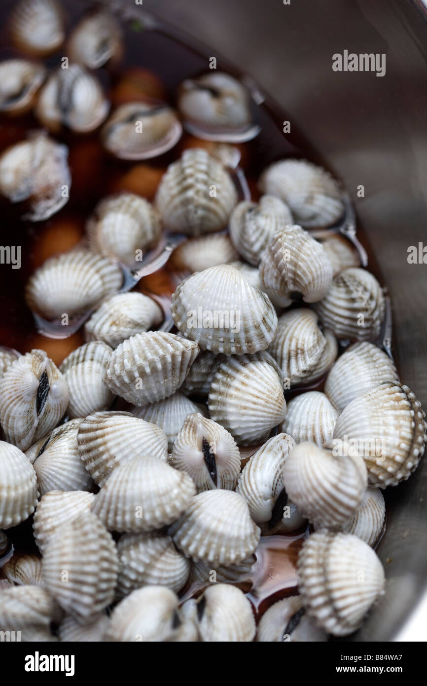 Cockles on sale in Chinatown Market Bangkok Thailand Stock Photo