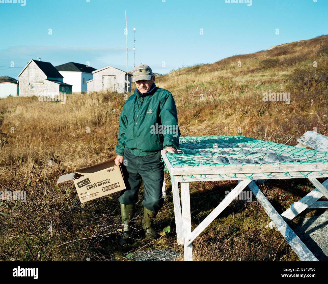 A man dries cod near his home in Grand Bruit, Newfoundland, Canada. Stock Photo