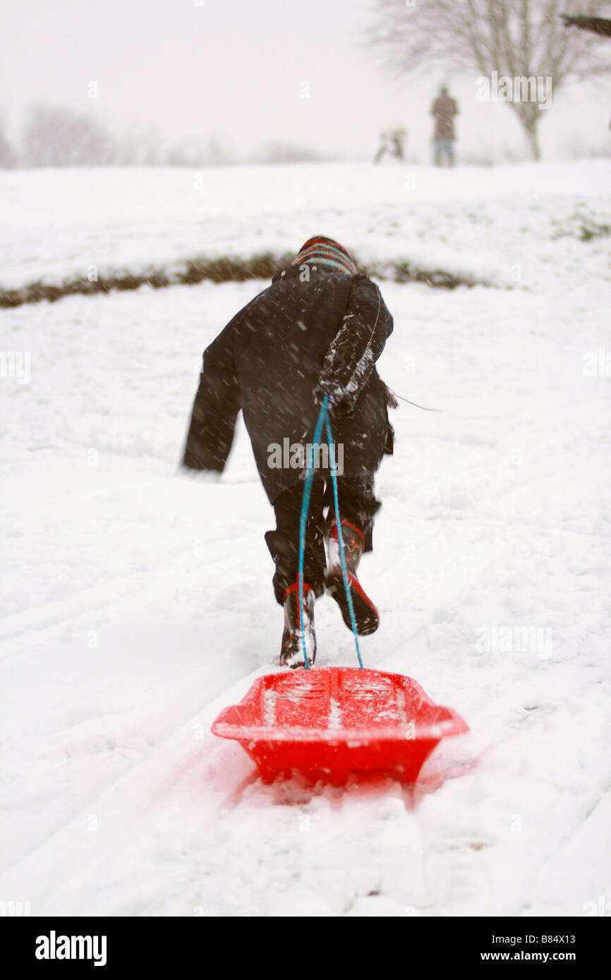 running with a toboggan to get back to the top of the hill. Snowing in Mapperley. Tobogganing in Woodthorpe Grange Park Mapperley Nottingham Stock Photo