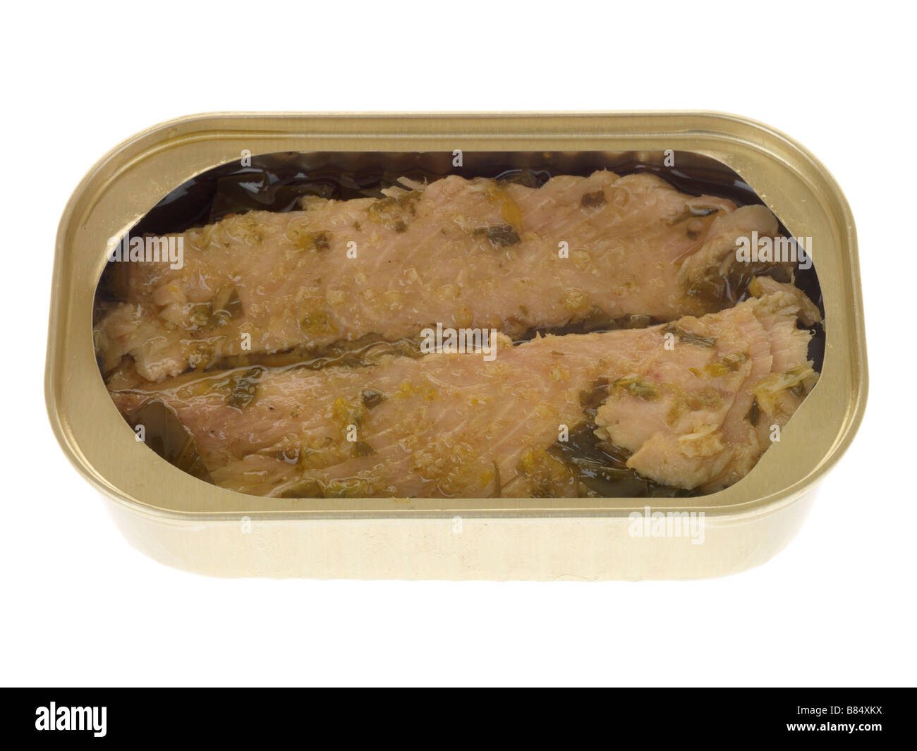 Tin Or Can Of Processed Tuna Fish Fillets Isolated Against A White