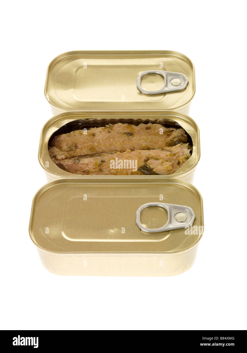 Tin Or Can Of Processed Tuna Fish Fillets Isolated Against A White