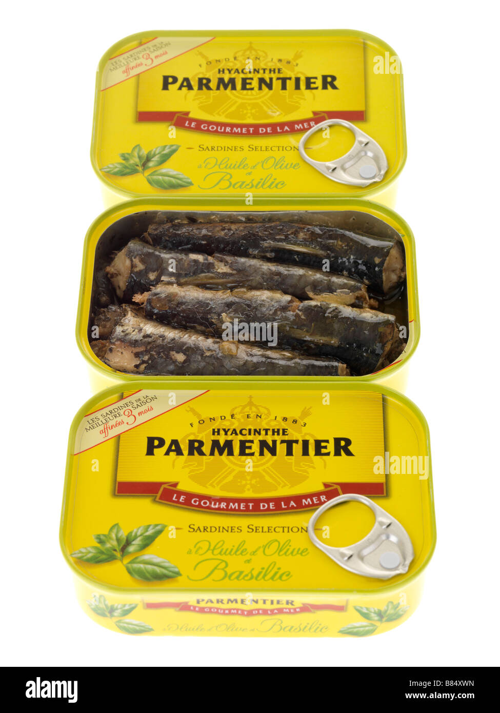 Tinned Or Canned Parmentier Processed Sardines Fish With Basil Herbs