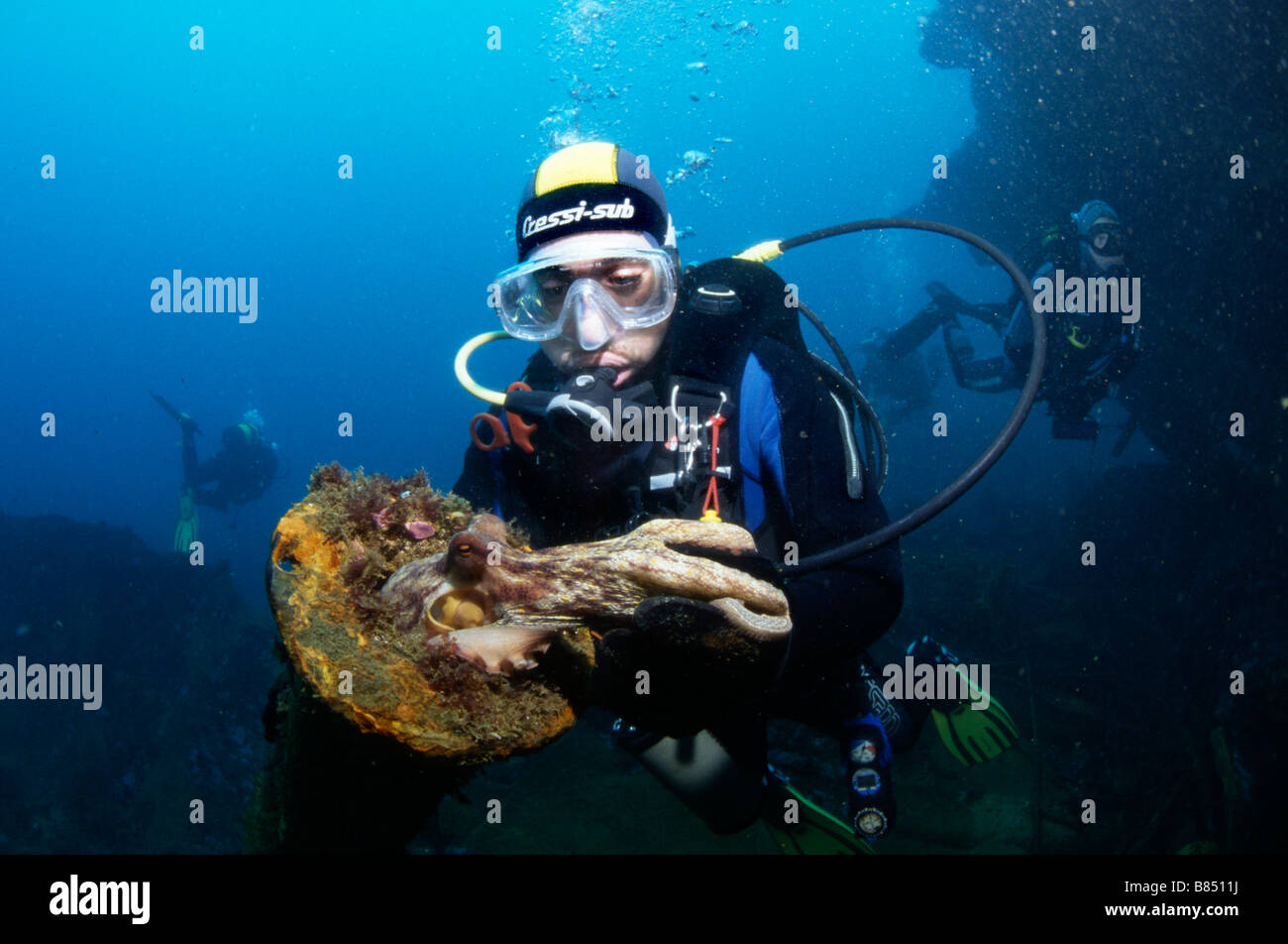 Diver and octopus (octopus vulgaris) exploring the River Gurara