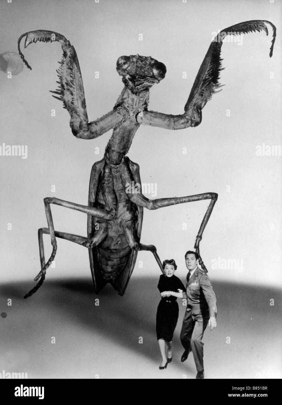 Giant Praying Mantis Movie