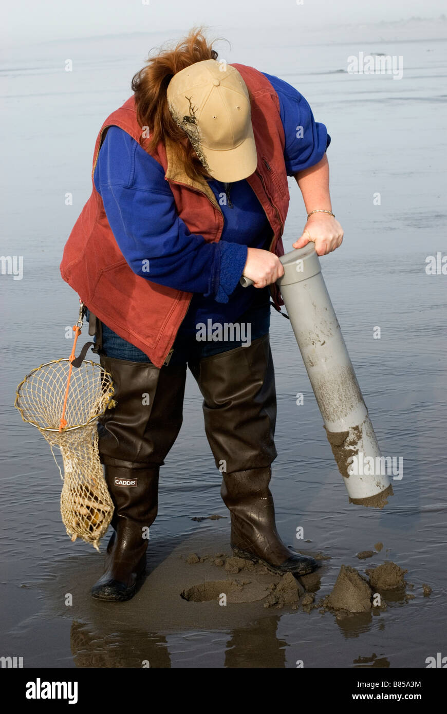 Clam digging hi-res stock photography and images - Alamy