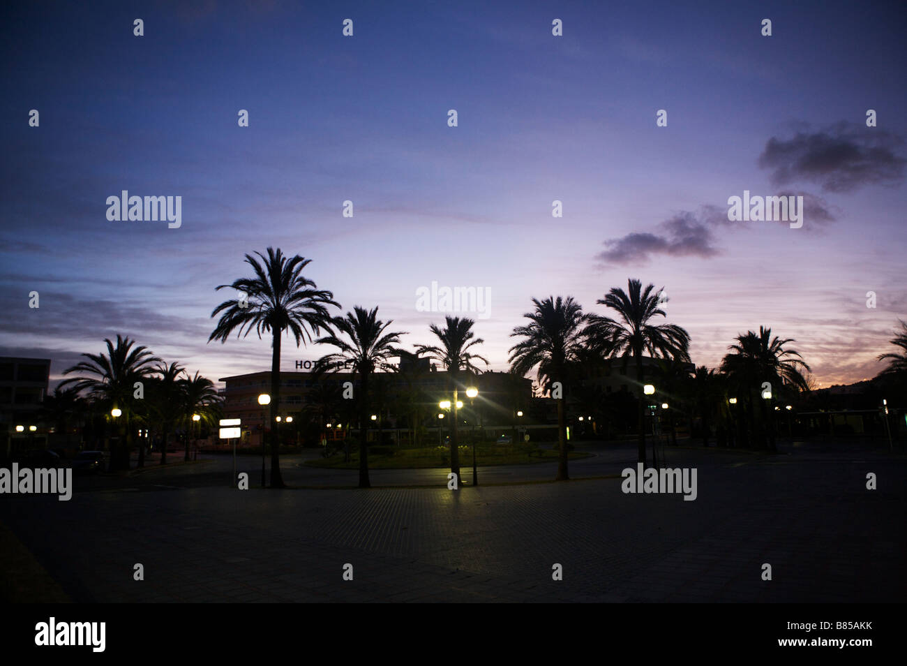 Palm trees outside a hotel in Mallorca sihouetted in the early dawn sunrise Stock Photo