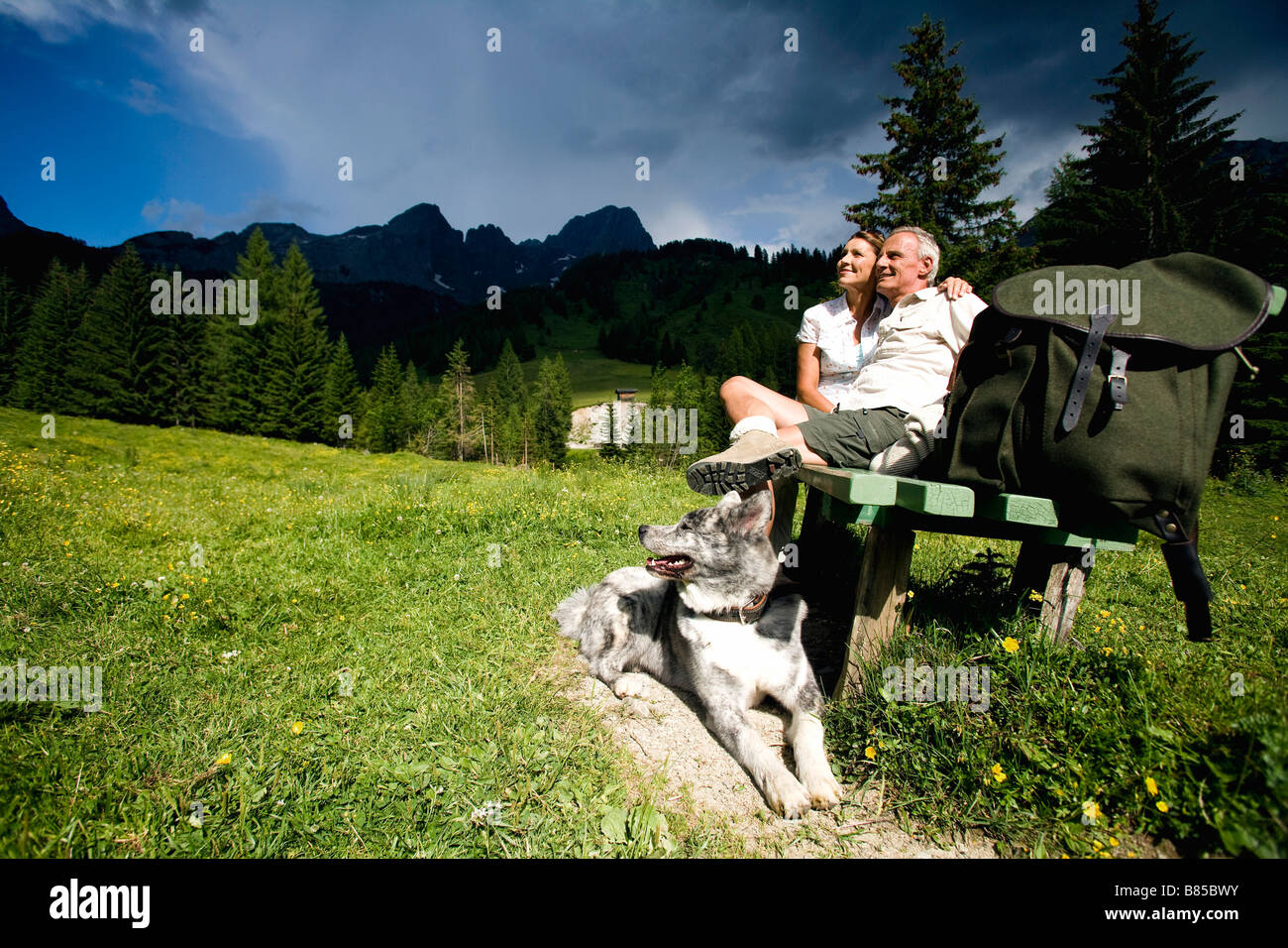 mature couple with dog sitting on bench in the mountains Stock Photo ...