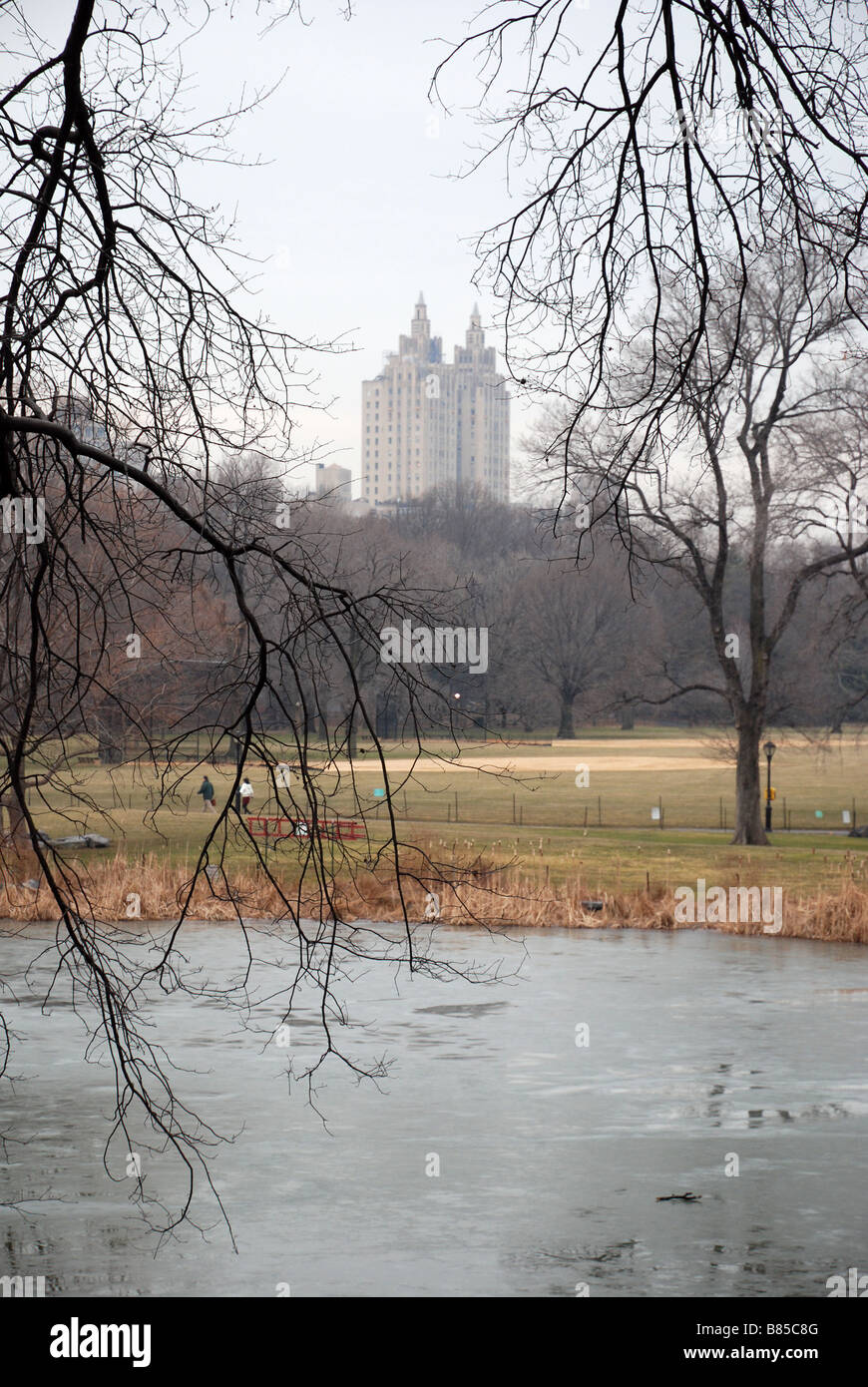 Central Park in winter, New York City Stock Photo