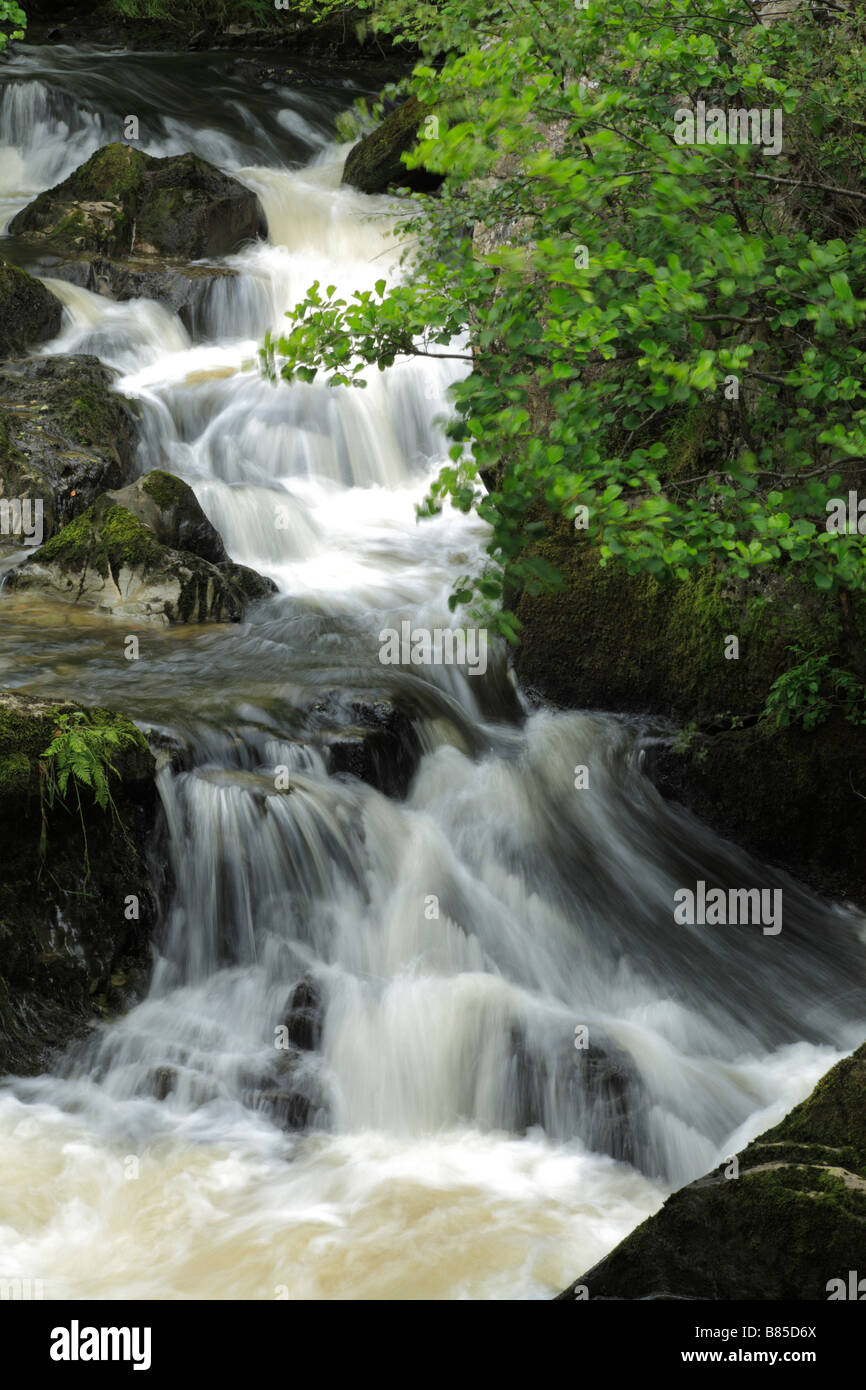 Waterfalls on the River Marteg. Gilfach Farm Nature Reserve, a Radnorshire Wildlife Trust reserve near Rhayader, Powys, Wales. Stock Photo