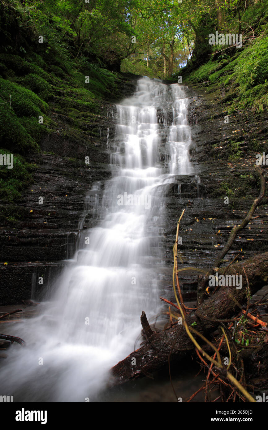 WaterBreakIt'sNeck waterfall in Warren Wood, near New Radnor, Powys