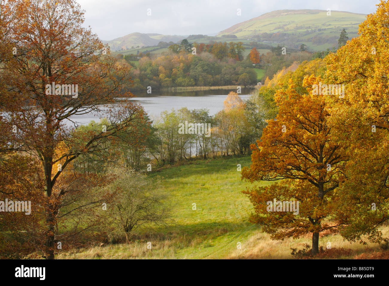 Llyn Ebyr and Bryn y Fan (Van Mountain) in Autumn a small natural lake near Llanidloes, Powys, Wales. Stock Photo