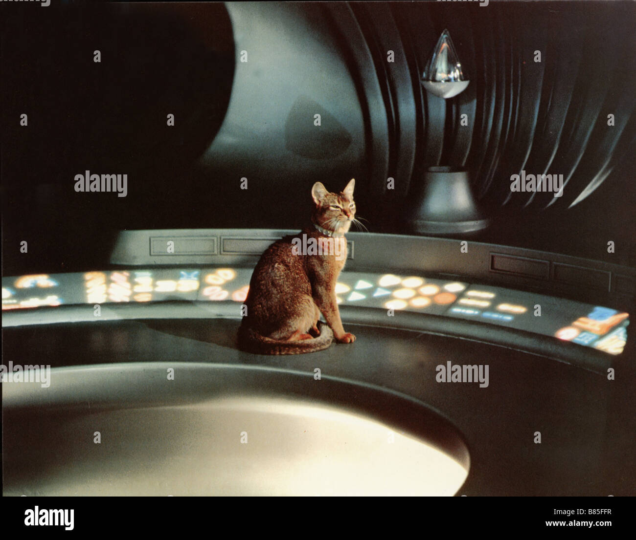 Le Chat Qui Vient De L Espace Cat From Outer Space The Annee 1978 Usa Director Norman Tokar Stock Photo Alamy