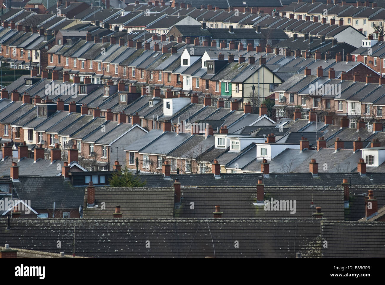 Green house amongst the terraced streets of the Ardoyne North Belfast. Stock Photo