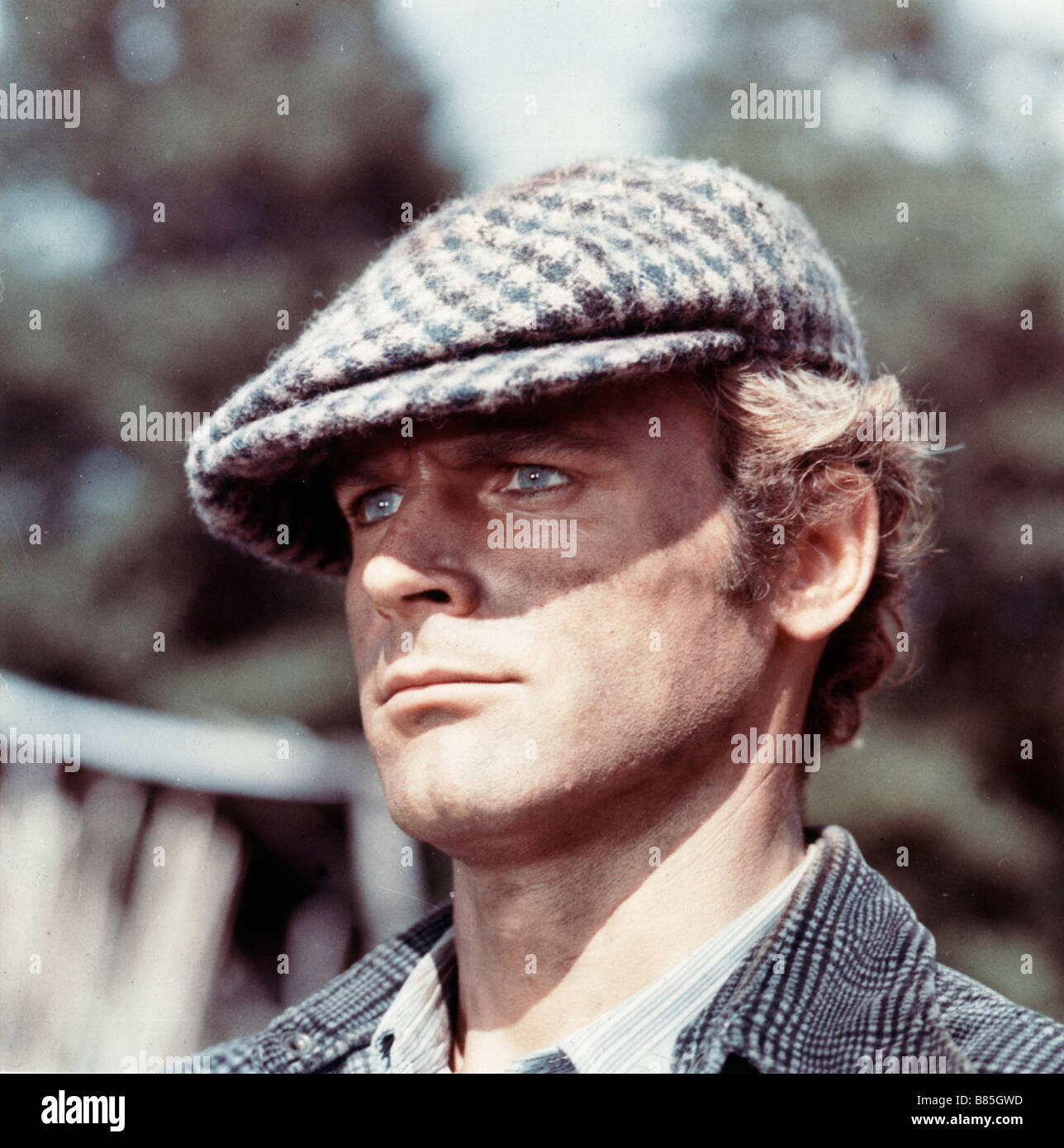 Altrimenti ci arrabbiamo Watch Out, We're Mad Year : 1974 Italy /Spain  Director: Marcello Fondato Terence Hill Stock Photo - Alamy