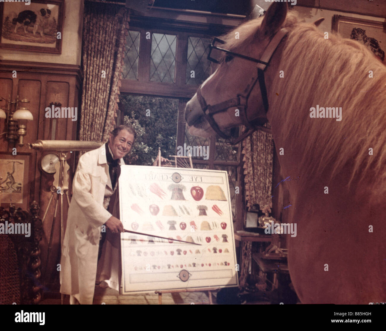 Dr Dolittle giving a horse an eye exam 