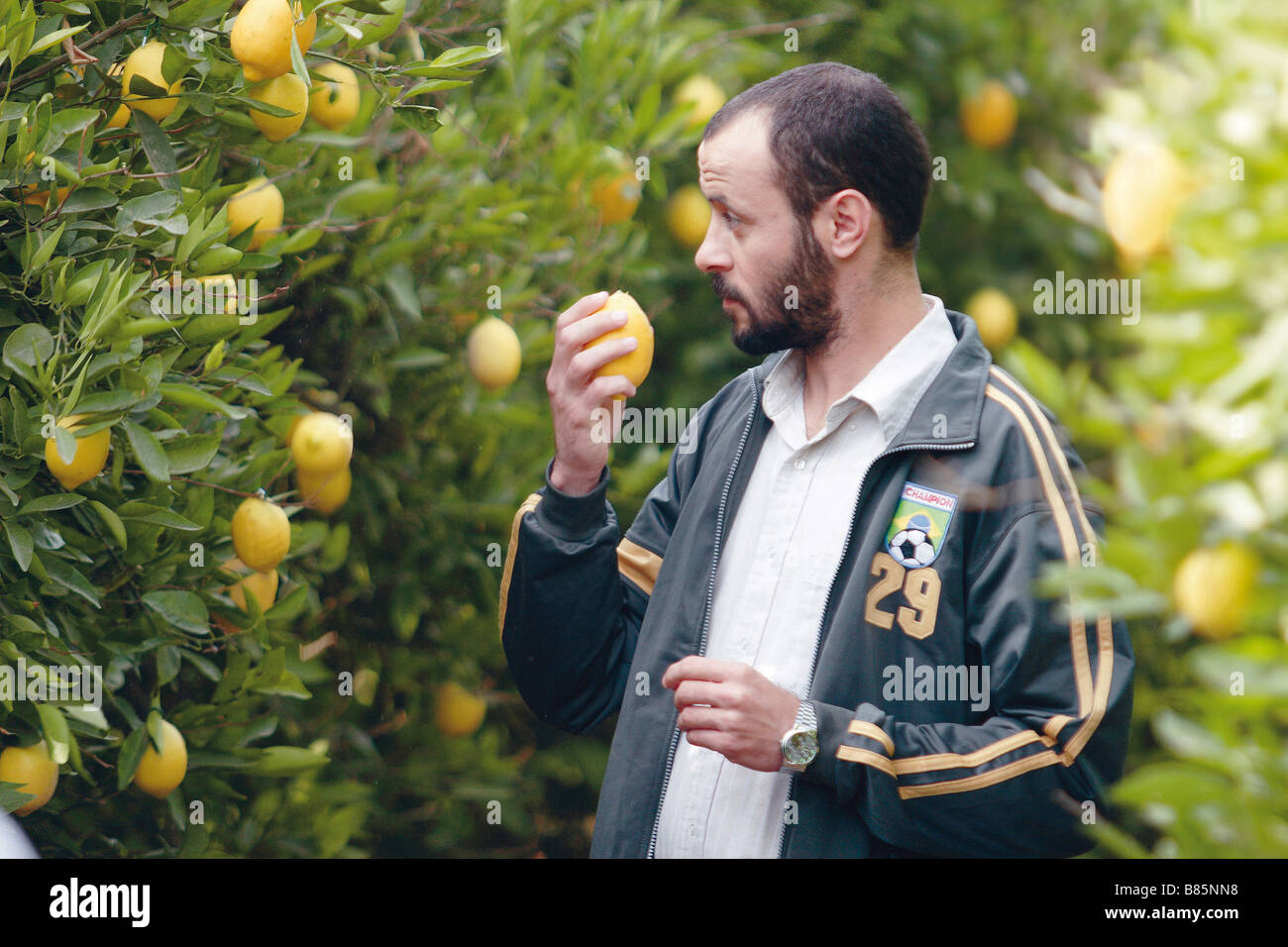 Etz Limon  Lemon Tree(2008) Israel / Germany / France Ali Suliman  Director: Eran Riklis Stock Photo