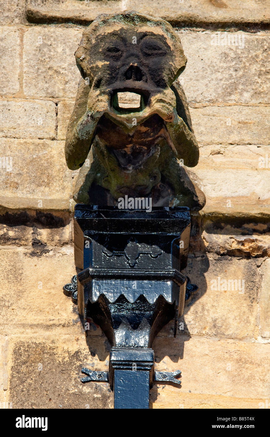 Gargoyle water spout on 'St Peters' Church, Hope, Derbyshire, England Stock Photo
